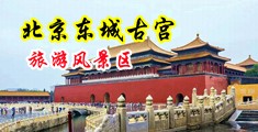 操老逼网中国北京-东城古宫旅游风景区